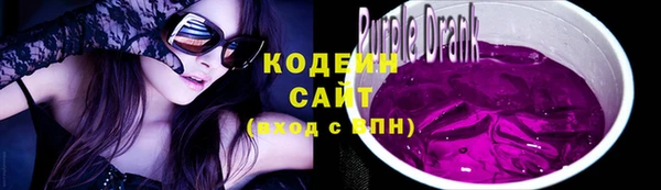 прущий лед Арсеньев