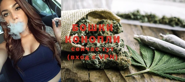 spice Кодинск