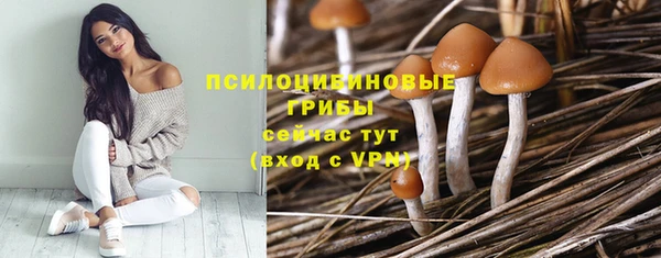 скорость mdpv Алексеевка